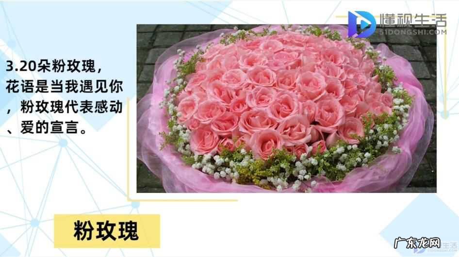 玫瑰送20朵的含义? 20朵玫瑰代表什么