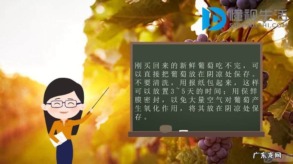 葡萄冷库保鲜技术? 葡萄如何保存