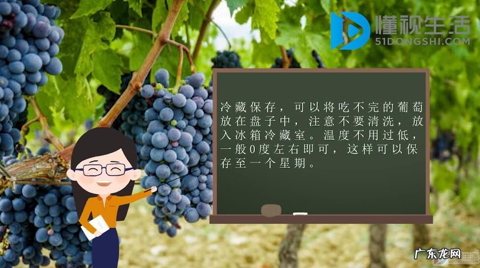 葡萄冷库保鲜技术? 葡萄如何保存