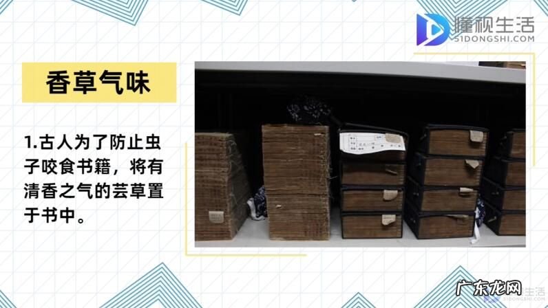 其中书香指的是什么? 书香指什么