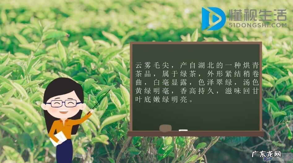云雾毛尖属于什么茶? 云雾毛尖是绿茶吗