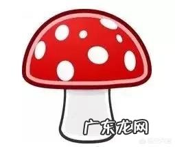 180斤大肚子，如何搭配减肥食谱？