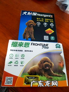 在了解狗拉稀怎么办之前,你需求搞清楚狗拉稀的原因