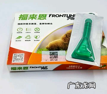 幼犬体内驱虫用什么药?选择要三思