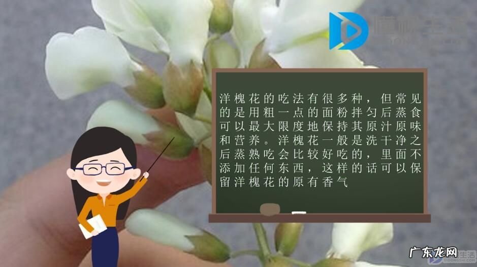洋槐花泡水喝的功效? 洋槐花的吃法是什么