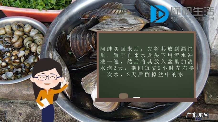 鱼塘河蚌太多怎么清除? 河蚌怎么洗才干净