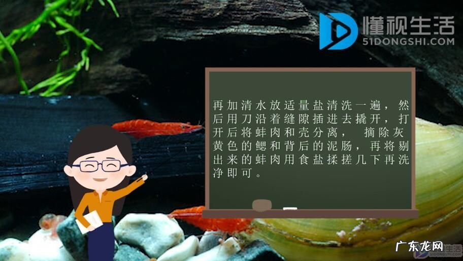 鱼塘河蚌太多怎么清除? 河蚌怎么洗才干净