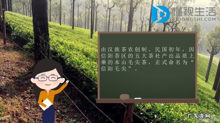 信阳毛尖属于什么档次？ 信阳毛尖属于什么茶