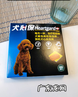 狗拉稀怎么办?你需求知道狗拉稀的原因!