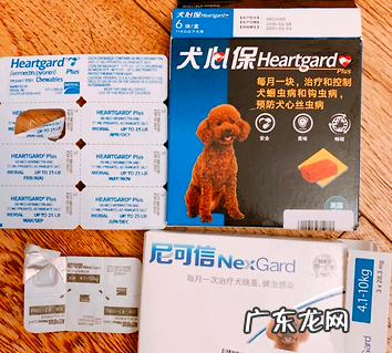 狗狗吐逆怎么回事?狗妈的驱虫心得