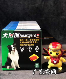 狗狗拉肚子吃什么药比较好？养宠达人吐血收拾