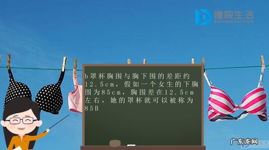 手握大小判断罩杯? b罩杯有多大