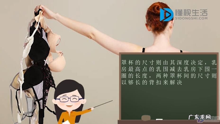 手握大小判断罩杯? b罩杯有多大