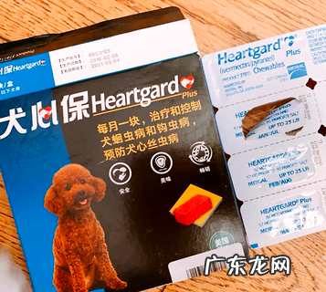 幼犬体内驱虫选什么?铲屎官必看!