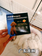 幼犬体内驱虫哪个好？安全健康才是王道