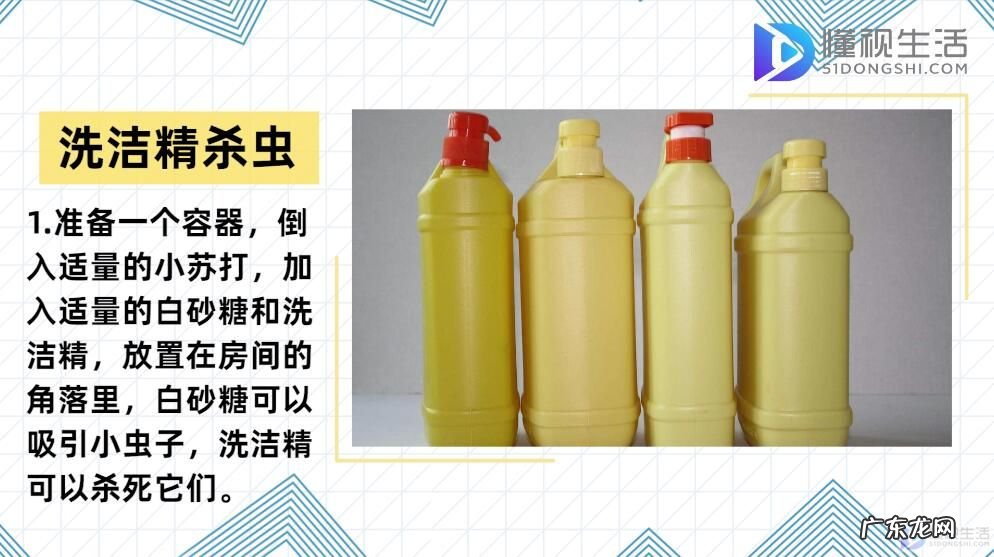 屋内有小飞虫根除妙招? 小飞虫怎么消灭小窍门