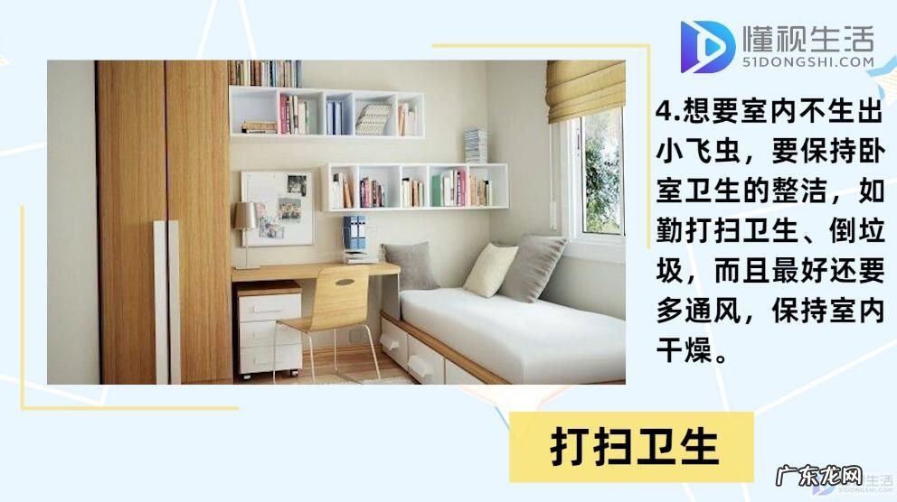 屋内有小飞虫根除妙招? 小飞虫怎么消灭小窍门