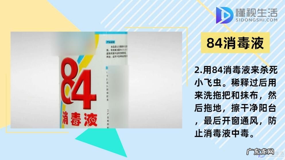 屋内有小飞虫根除妙招? 小飞虫怎么消灭小窍门