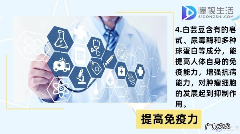 白芸豆减肥是真是假？ 白芸豆的功效与作用