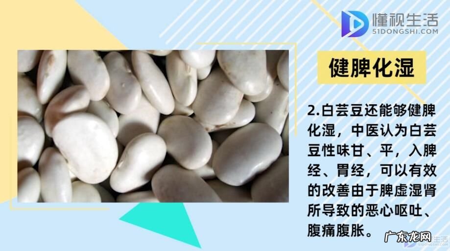 白芸豆减肥是真是假？ 白芸豆的功效与作用