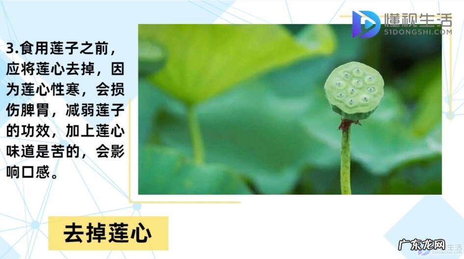 莲子的正确食用方法? 吃莲子的禁忌
