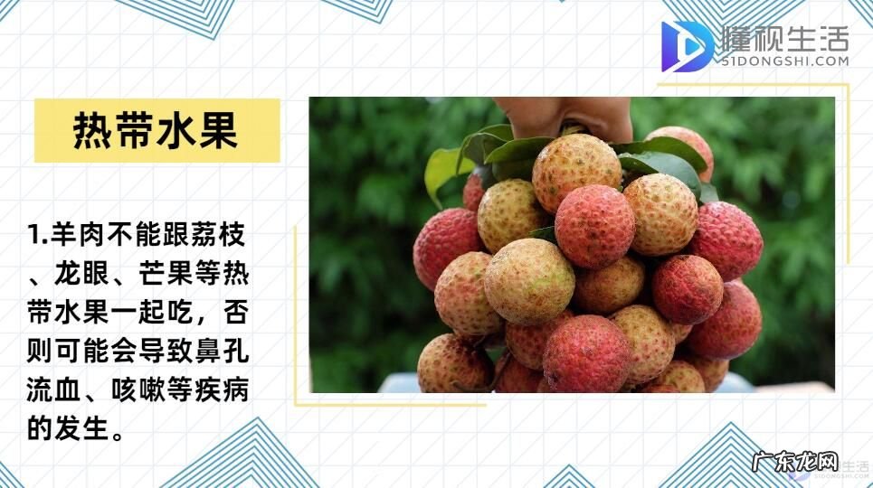 羊肉相克食物表？ 羊肉不能和什么一起吃