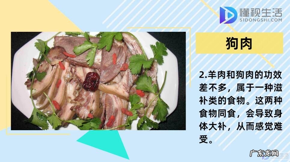 羊肉相克食物表？ 羊肉不能和什么一起吃