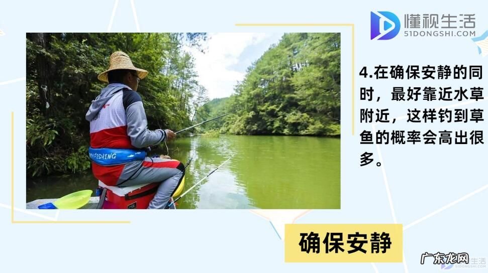 草鱼最爱吃的10种食物? 玉米钓草鱼绝招