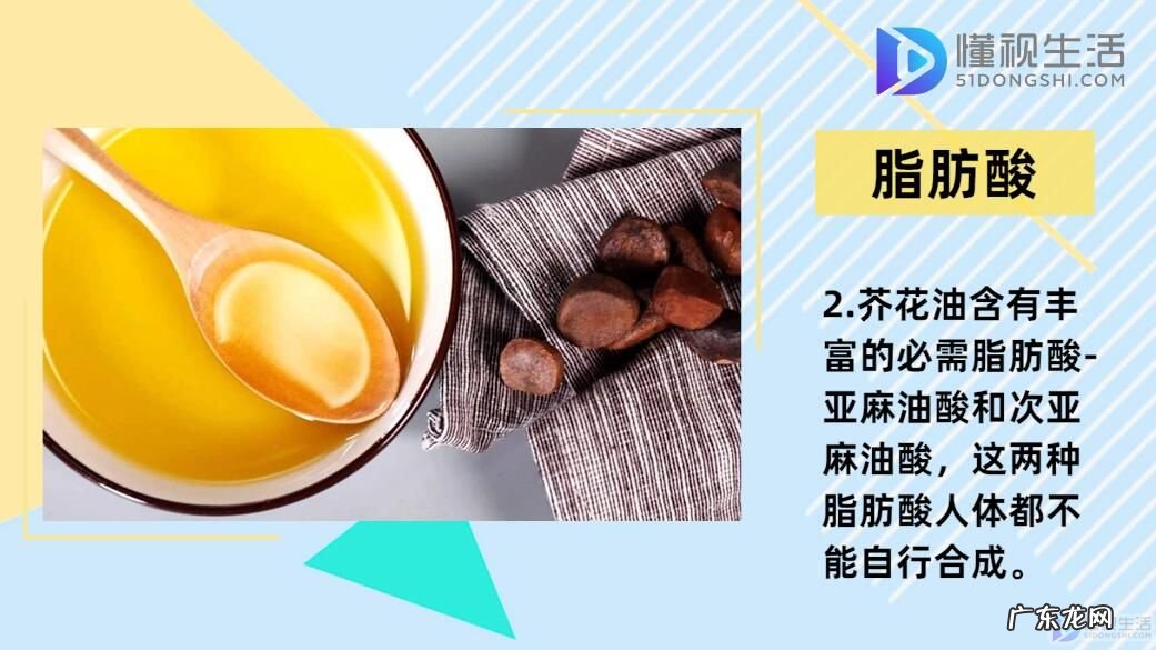 为什么欧洲禁止芥花油? 芥花油是什么油