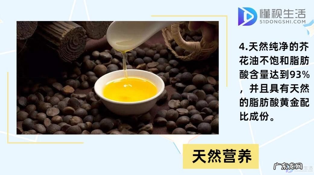 为什么欧洲禁止芥花油? 芥花油是什么油