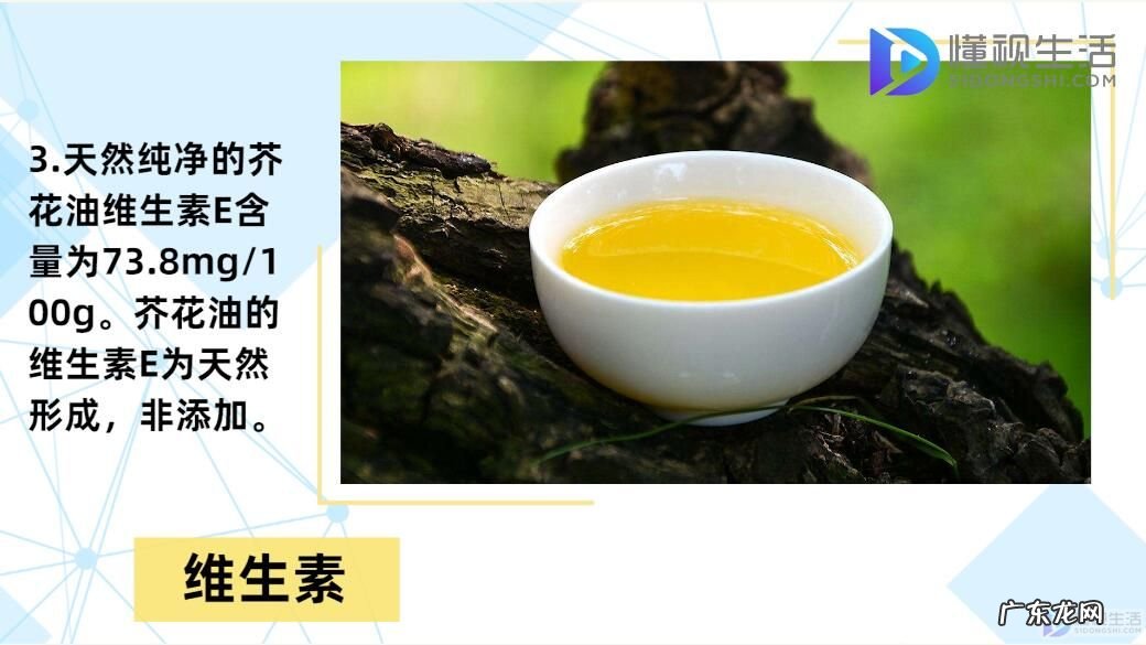 为什么欧洲禁止芥花油? 芥花油是什么油