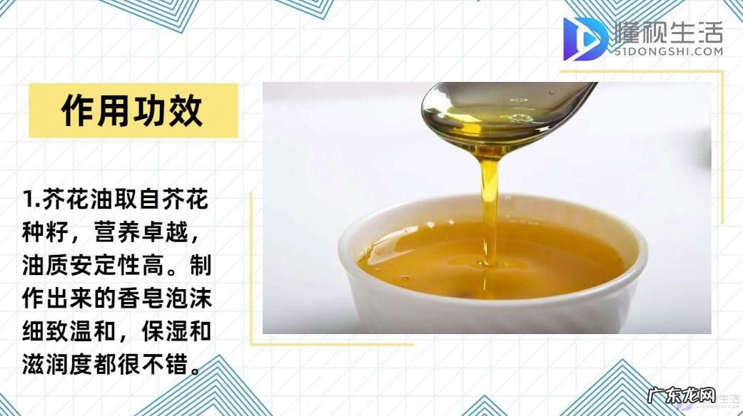 为什么欧洲禁止芥花油? 芥花油是什么油