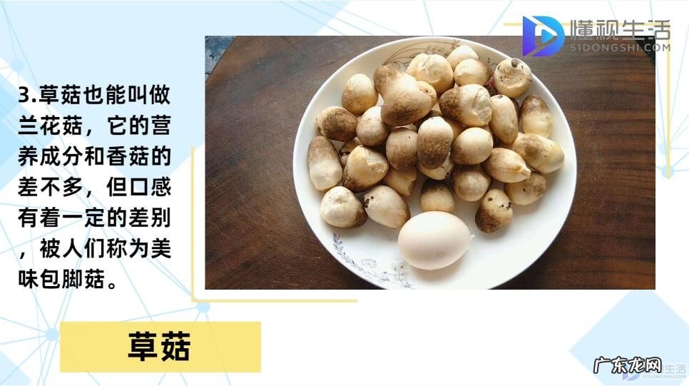 食用蘑菇种类大全(图 蘑菇的种类?)