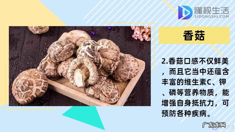 食用蘑菇种类大全(图 蘑菇的种类?)