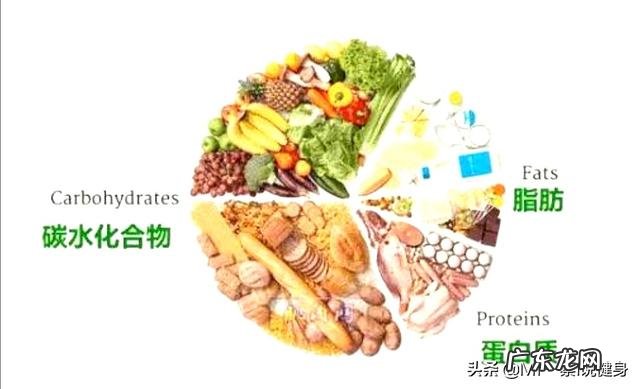 男生每天蹲起30次可以减肥吗?为什么?