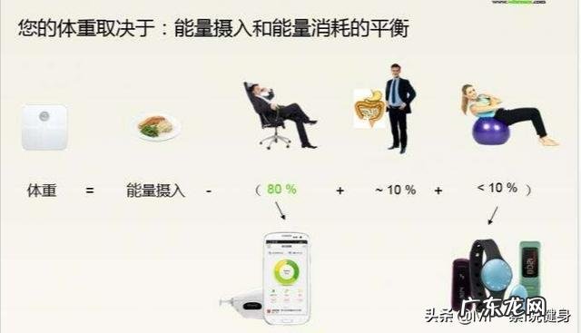 男生每天蹲起30次可以减肥吗?为什么?