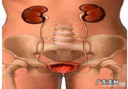 何谓尿道感染，病因是什么？