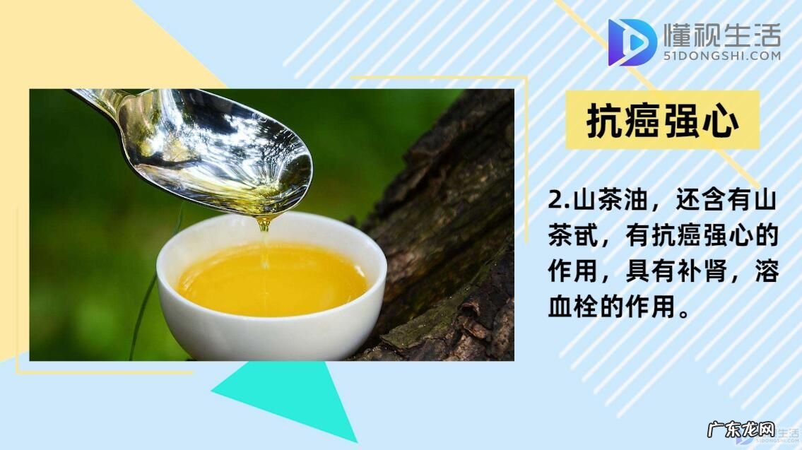 中国最好的山茶油是什么牌子? 山茶油的功效与作用