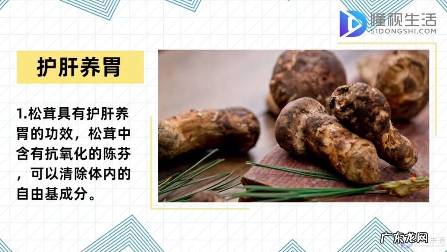 女性吃松茸有什么好处? 松茸的功效