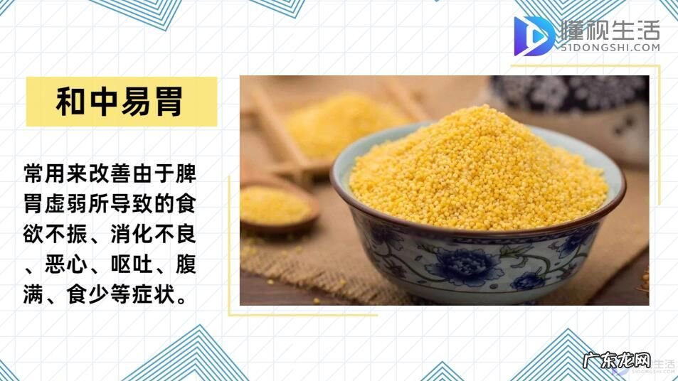 常吃小米的好处和坏处? 小米的功效与作用