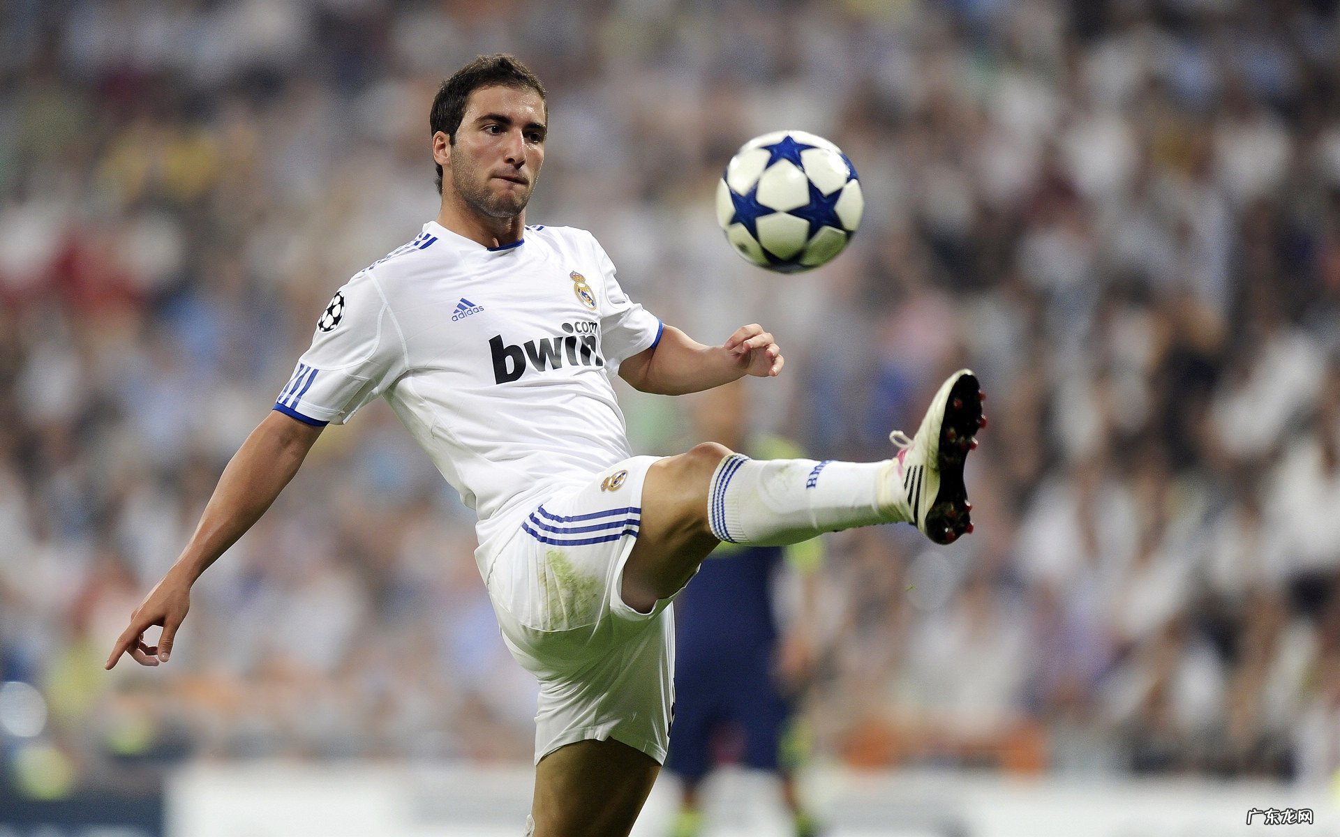 跳绳前后拉伸全套动作讲解 跳绳运动后怎样做拉伸动作?