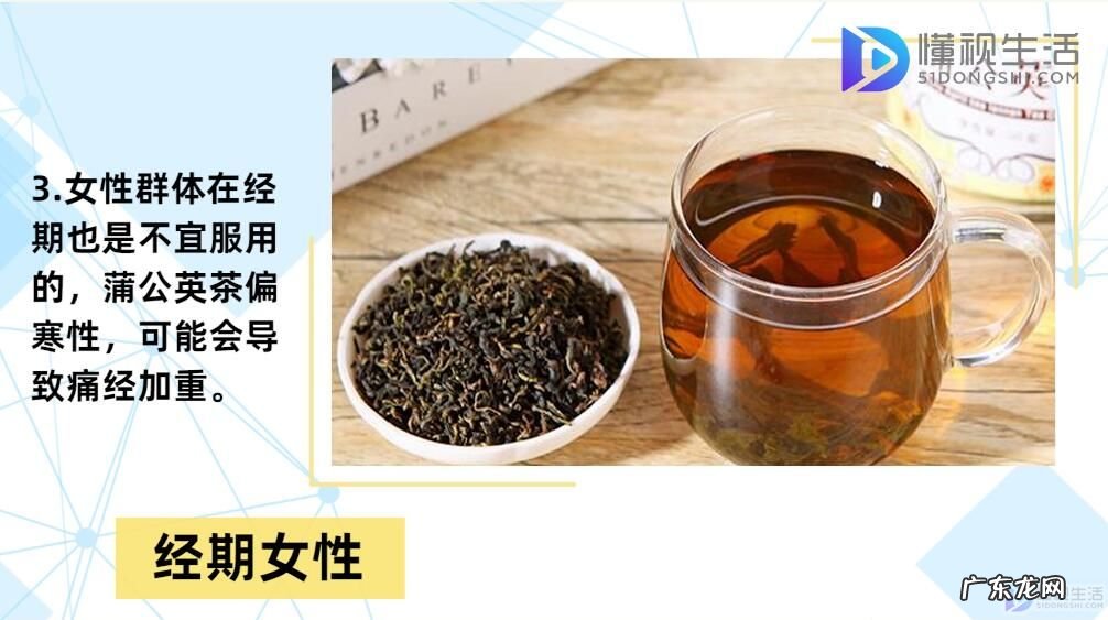 蒲公英茶几天喝一次? 蒲公英茶可以天天喝吗