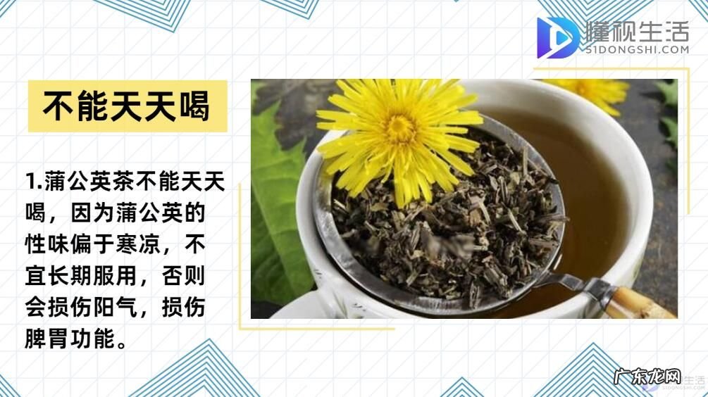 蒲公英茶几天喝一次? 蒲公英茶可以天天喝吗