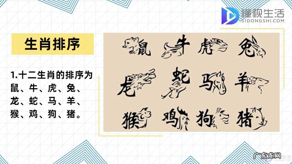 怎么查俩人八字合不合? 十二生肖排序