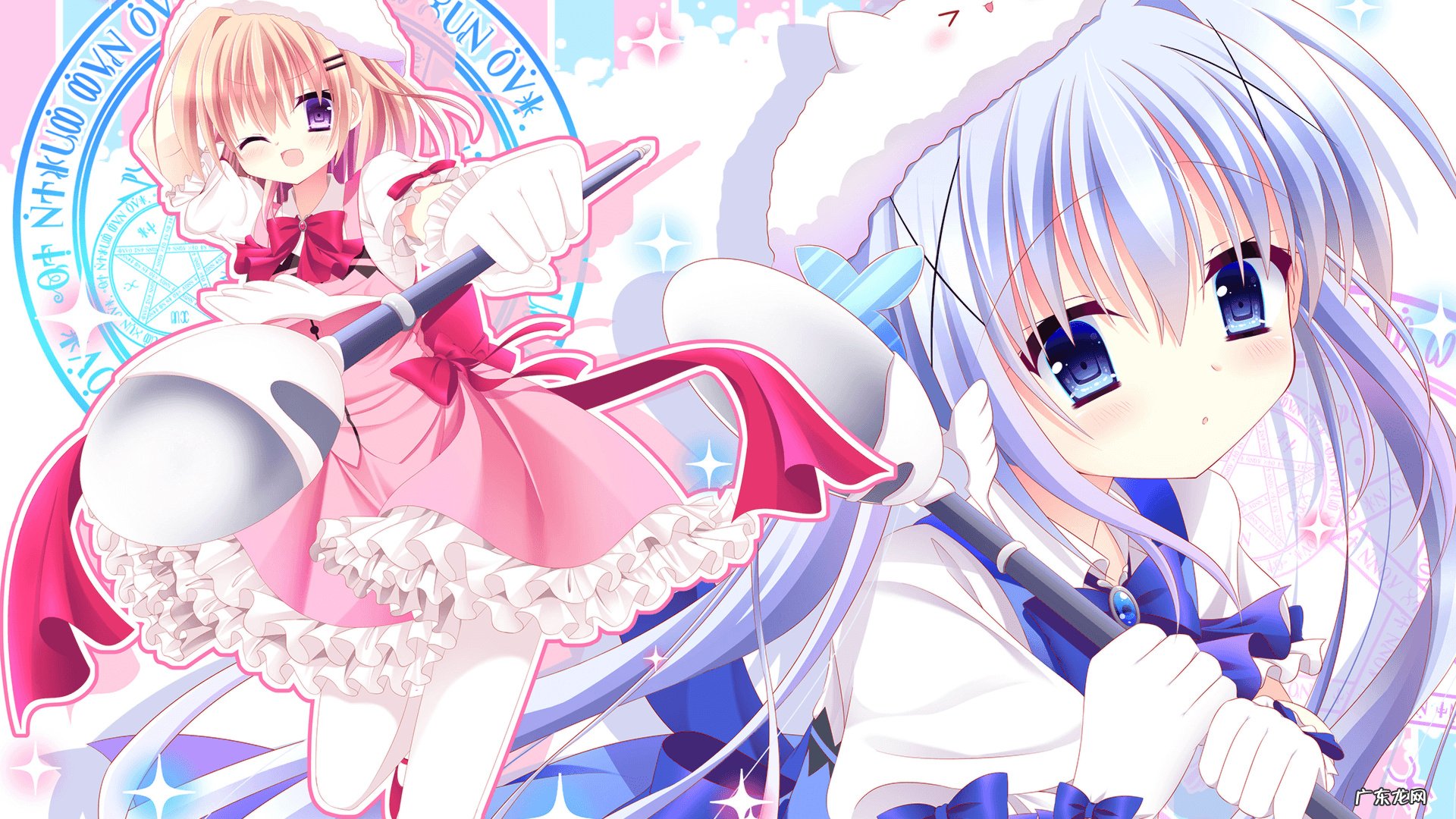 五个月的金毛应该注意什么