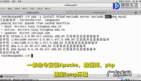 linux服务器搭建网站? 如何使用linux搭建论坛网站