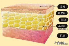 比较胖，如何将肚子上的肉减掉？