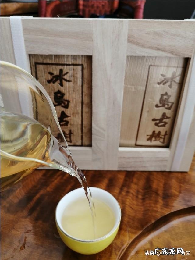 早上喝什么茶?中午喝什么茶?晚上喝什么茶?