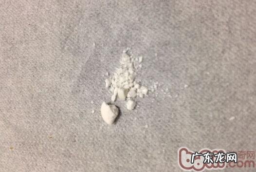 四招应对猫咪吃药难的问题