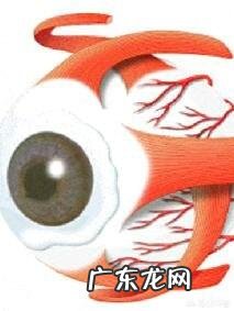 请问,什么眼霜可以促进眼部血液循环